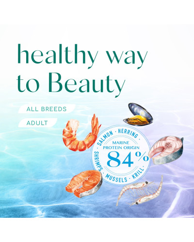 Сухий корм для котів OptiMeal Beauty Podium Shiny Coat & Dental Care з морепродуктами 4 кг