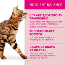 Влажный корм для котов OptiMeal Adult с телятиной в клюквенном соусе 85 г