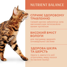 Вологий корм для котів OptiMeal Adult із кроликом у білому соусі 85 г