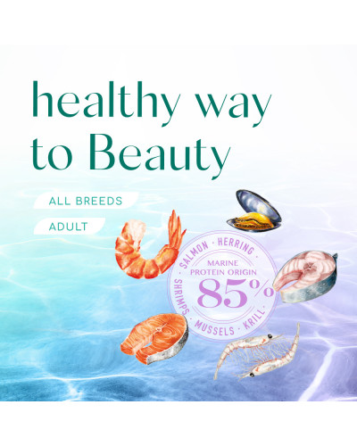 Сухий корм для котів OptiMeal Harmony Mild Calming Effect із морепродуктами 4 кг