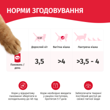 Вологий корм для котів Мяу індичка у ніжному соусі 85 г