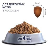 Сухий корм для котів Club 4 Paws with Salmon з лососем 300 г