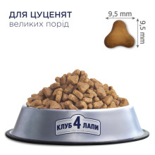 Сухий корм для цуценят великих порід Club 4 Paws з куркою 2 кг