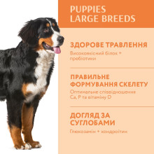 Сухий корм для цуценят великих порід OptiMeal Maxi Puppy з індичкою 12 кг
