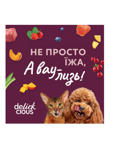 Вологий корм для котів Delickcious Напій з куркою 140 г