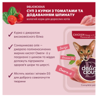 Суп для котів Delickcious з м'ясом курки, томатами та шпинатом 80 г