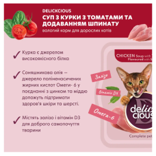 Суп для котів Delickcious з м'ясом курки, томатами та шпинатом 80 г