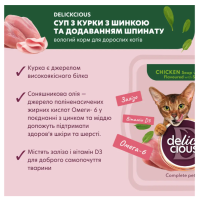 Суп для котів Delickcious з м'ясом курки, шинкою та шпинатом 80 г