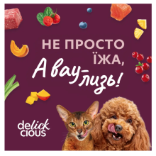 Суп для котов Delickcious с мясом курицы, ветчиной и шпинатом 80 г