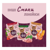 Суп для котів Delickcious з тунцем, кукурудзою та зеленим горошком 80 г