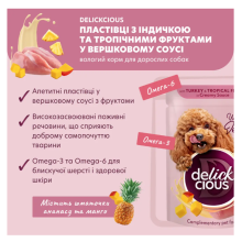 Влажный корм для собак Delickcious с индейкой и тропическими фруктами в сливочном соусе 80 г