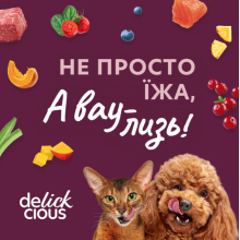 Влажный корм для котов Delickcious кусочки с уткой, курицей и шпинатом соусе 85 г