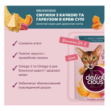 Влажный корм для котов Delickcious кусочки с уткой и тыквой в крем-супе 85 г