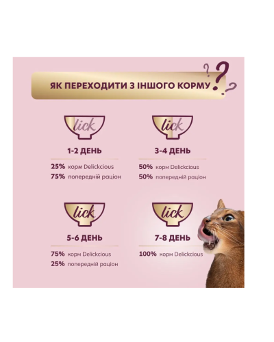Вологий корм для котів Delickcious шматочки з качкою та гарбузом у крем-супі 85 г