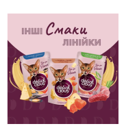 Вологий корм для котів Delickcious шматочки з качкою та гарбузом у крем-супі 85 г