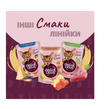 Влажный корм для котов Delickcious кусочки с уткой и тыквой в крем-супе 85 г
