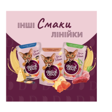 Вологий корм для котів Delickcious шматочки з качкою та гарбузом у крем-супі 85 г