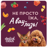 Вологий корм для котів Delickcious шматочки з ягнятком, курячим філе та квасолею в желе 85 г