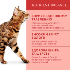 Вологий корм для котів OptiMeal Adult з індичкою в гарбузовому соусі 85 г