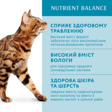 Вологий корм для котів OptiMeal Adult із фореллю у кремовому соусі 85 г