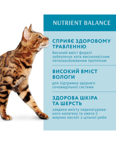 Вологий корм для котів OptiMeal Adult із фореллю у кремовому соусі 85 г