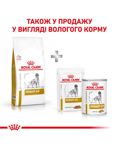 Корм для дорослих собак ROYAL CANIN URINARY S/O DOG 2 кг
