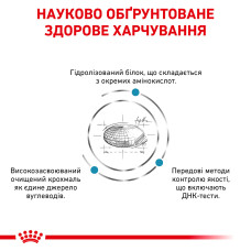 Корм для дорослих собак ROYAL CANIN ANALLERGENIC DOG 8.0 кг