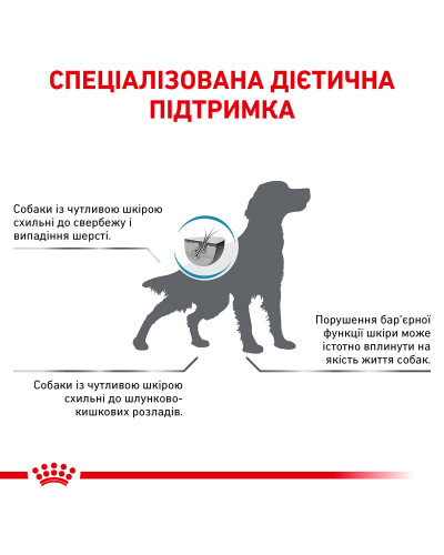 Корм для взрослых собак ROYAL CANIN SKIN CARE ADULT DOG 11 кг