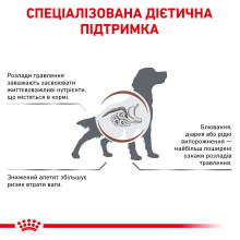 Корм для взрослых собак ROYAL CANIN GASTRO INTESTINAL DOG 15 кг
