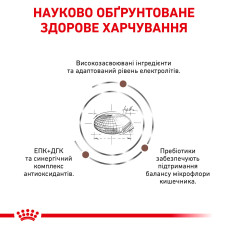 Корм для взрослых собак ROYAL CANIN GASTRO INTESTINAL DOG 15 кг