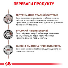 Корм для взрослых собак ROYAL CANIN GASTRO INTESTINAL DOG 15 кг