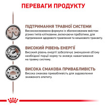 Вологий корм для дорослих собак ROYAL CANIN GASTRO INTESTINAL DOG Cans 0.4 кг