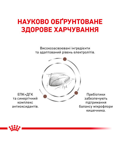 Корм для дорослих котів ROYAL CANIN GASTRO INTESTINAL CAT 2 кг