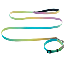 AnimAll нашийник+повідець, panton 2, 25/420-520/1800 мм