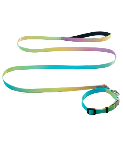 AnimAll ошейник+поводок, panton 2, 25/420-520/1800 мм