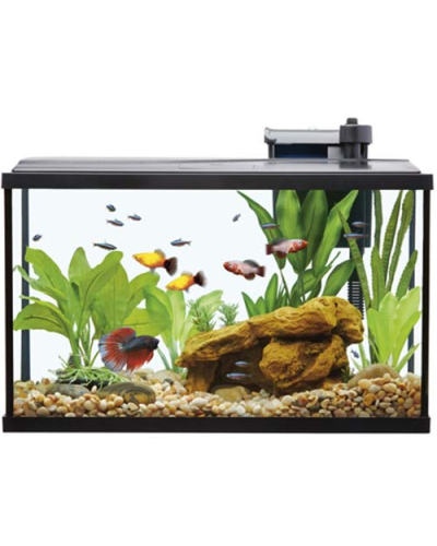 Р АКВАРИУМ STH-40 510x256x325mm (фильтр, LED свет, 37,8 литров)