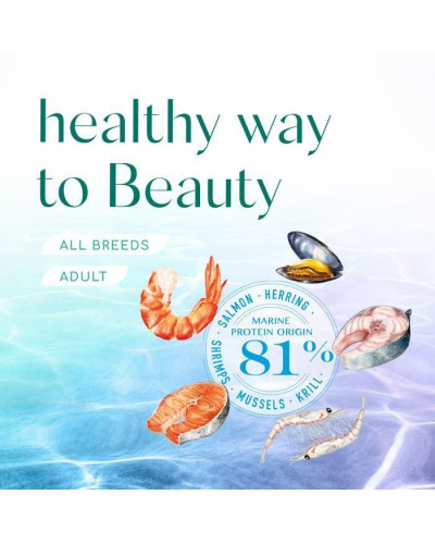 Сухий корм для собак усіх порід Optimeal Beauty Podium Shiny Coat & Dental Care 1,5 кг (морепродукти)