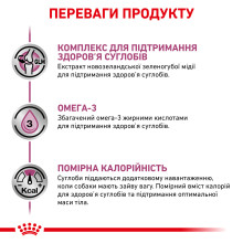 Корм для взрослых собак ROYAL CANIN MOBILITY SUPPORT DOG 12 кг