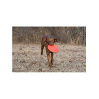 Игрушка для собак Dexas Off Leash Frisbee Flyer Фризби с карабином (PWT010-2027)