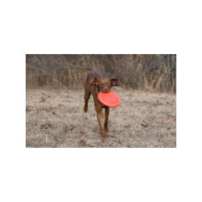 Игрушка для собак Dexas Off Leash Frisbee Flyer Фризби с карабином (PWT010-2027)