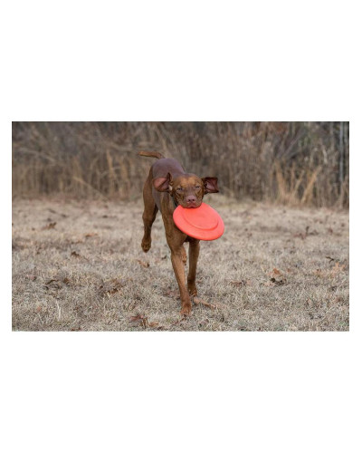 Игрушка для собак Dexas Off Leash Frisbee Flyer Фризби с карабином (PWT010-2027)