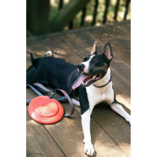Игрушка для собак Dexas Off Leash Frisbee Flyer Фризби с карабином (PWT010-2027)