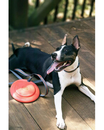 Игрушка для собак Dexas Off Leash Frisbee Flyer Фризби с карабином (PWT010-2027)