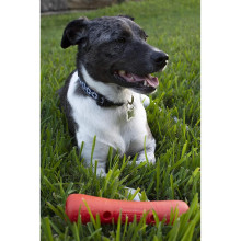 Игрушка для собак Dexas Off Leash Tumbler гантеля с карабином (PWT012-2027)