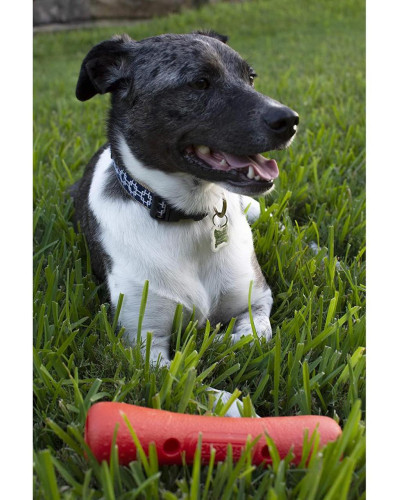 Игрушка для собак Dexas Off Leash Tumbler гантеля с карабином (PWT012-2027)