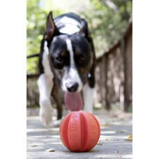 Игрушка для собак Dexas Off Leash Reaction Ball мяч с карабином (PWT011-2027)
