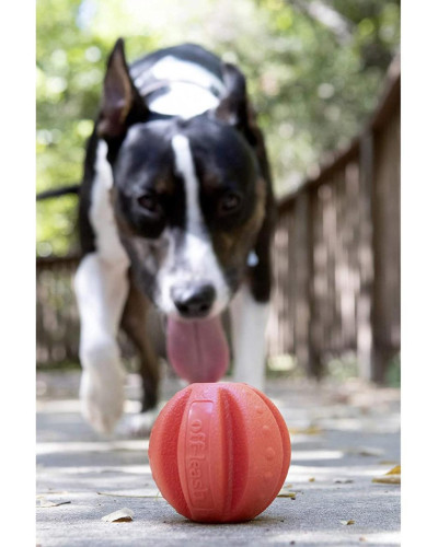 Игрушка для собак Dexas Off Leash Reaction Ball мяч с карабином (PWT011-2027)