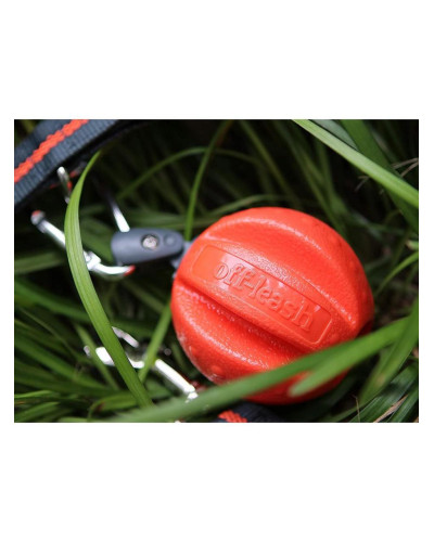 Игрушка для собак Dexas Off Leash Reaction Ball мяч с карабином (PWT011-2027)