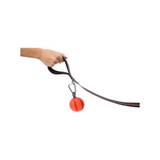 Игрушка для собак Dexas Off Leash Reaction Ball мяч с карабином (PWT011-2027)
