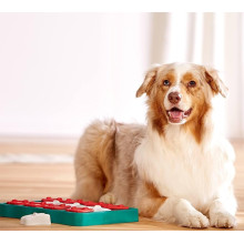 Игрушка для собак Nina Ottosson Dog Brick (Дог Брик) интерактивная 2 уровень сложности 21х31 см (no67333)